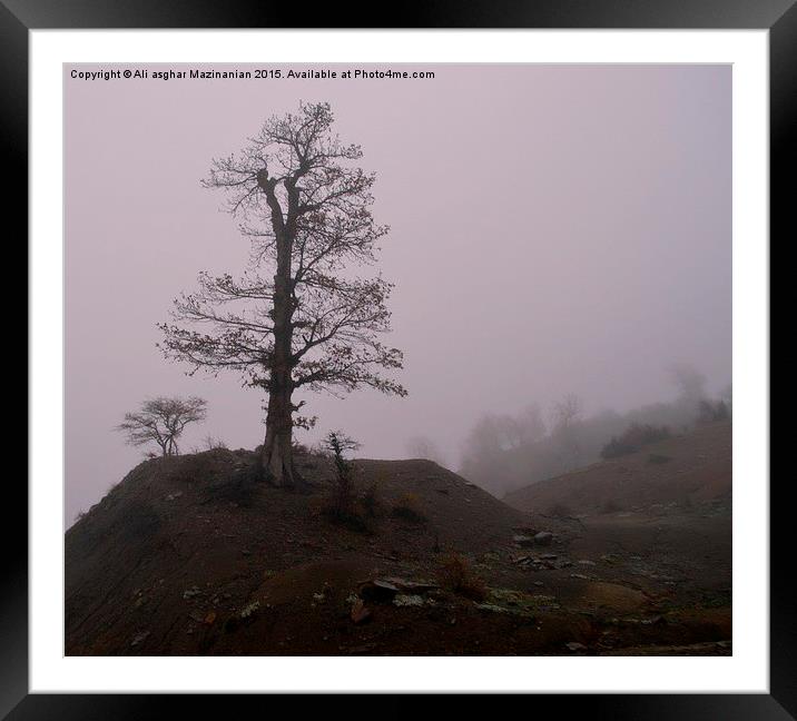  On a foggy day, Framed Mounted Print by Ali asghar Mazinanian