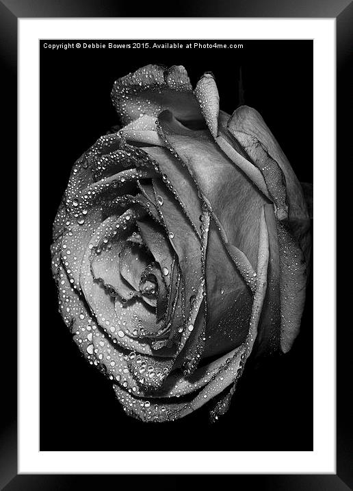  B&W Rose with drops  Framed Mounted Print by Lady Debra Bowers L.R.P.S