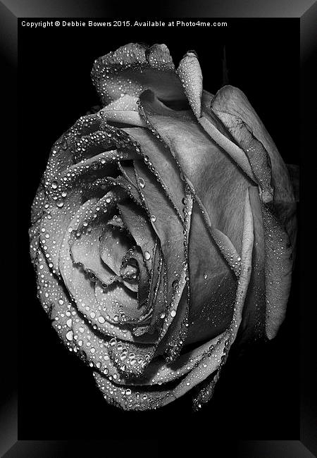  B&W Rose with drops  Framed Print by Lady Debra Bowers L.R.P.S