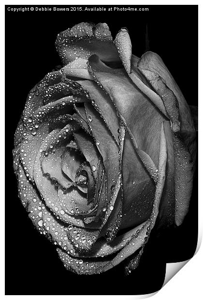  B&W Rose with drops  Print by Lady Debra Bowers L.R.P.S