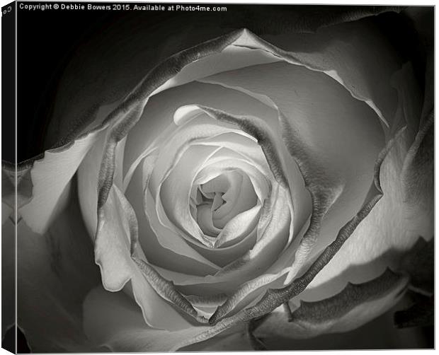 A Glowing Rose   Canvas Print by Lady Debra Bowers L.R.P.S