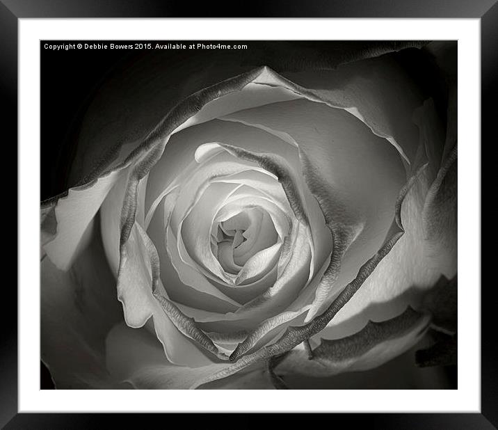 A Glowing Rose   Framed Mounted Print by Lady Debra Bowers L.R.P.S