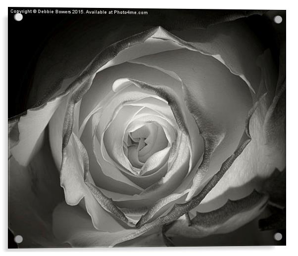 A Glowing Rose   Acrylic by Lady Debra Bowers L.R.P.S