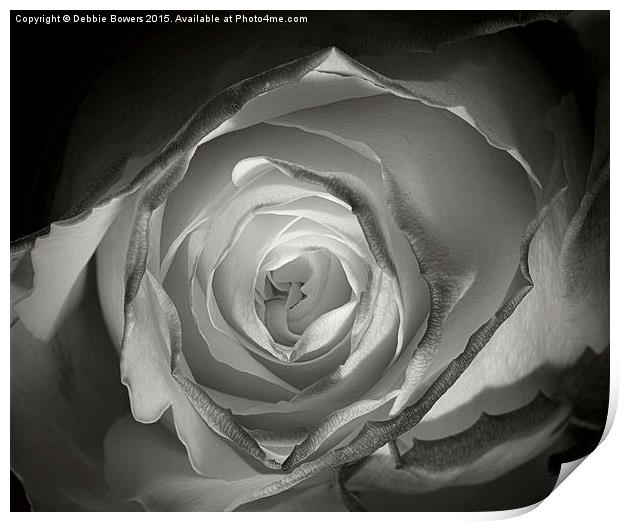 A Glowing Rose   Print by Lady Debra Bowers L.R.P.S