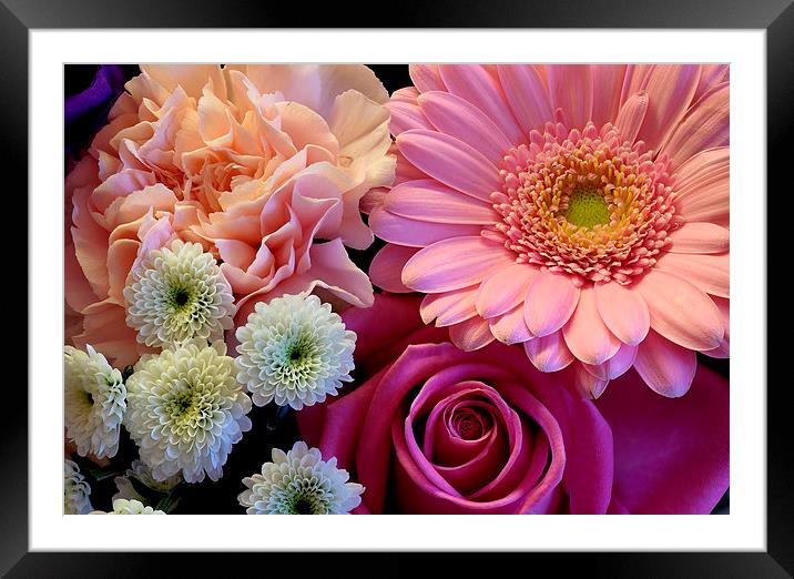  Flowers from a bouquet Framed Mounted Print by Tony Bates