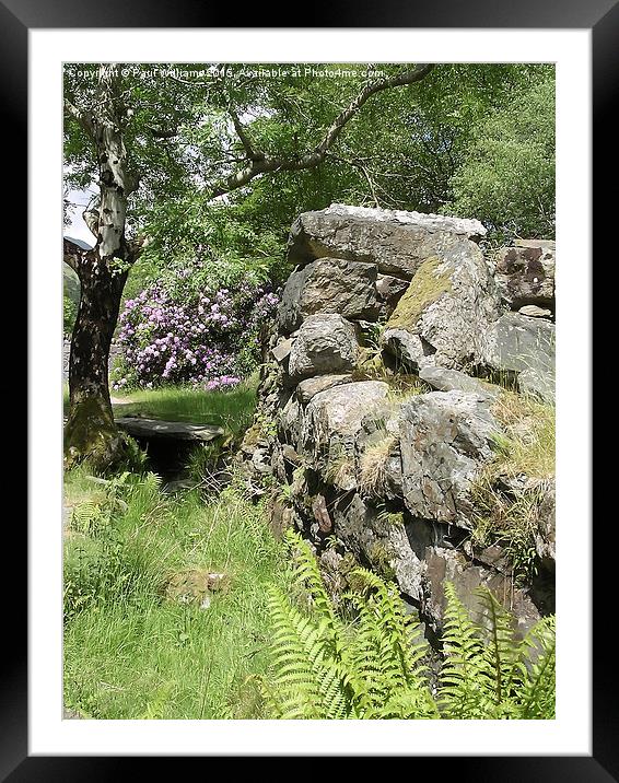 Stone Wall with Rhododendrons Framed Mounted Print by Paul Williams