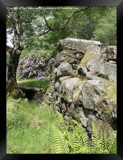 Stone Wall with Rhododendrons Framed Print by Paul Williams