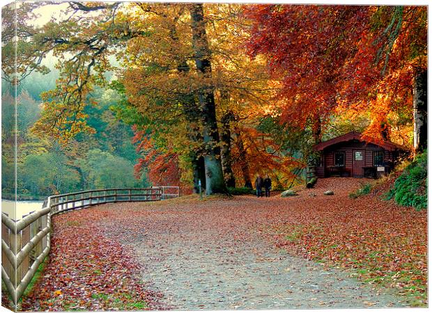Dunkeld Autumn Canvas Print by Laura McGlinn Photog