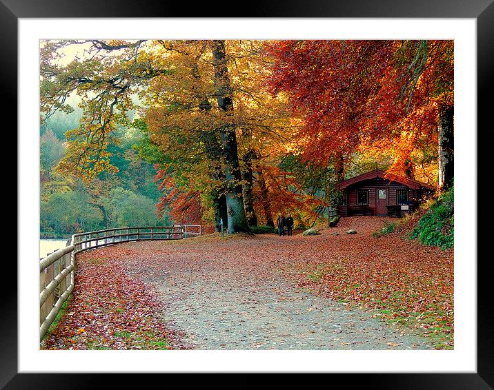 Dunkeld Autumn Framed Mounted Print by Laura McGlinn Photog