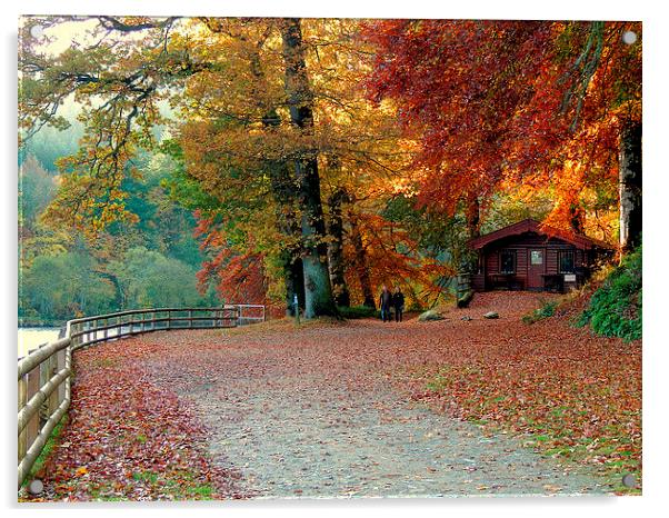 Dunkeld Autumn Acrylic by Laura McGlinn Photog