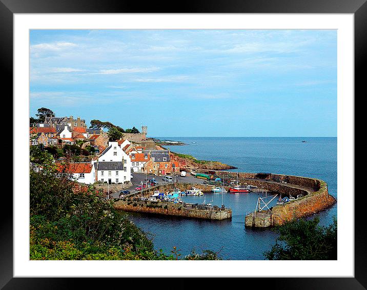  Crail Harbour Framed Mounted Print by Laura McGlinn Photog