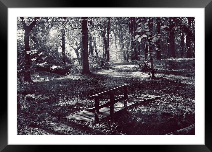  forest walk Framed Mounted Print by Derrick Fox Lomax