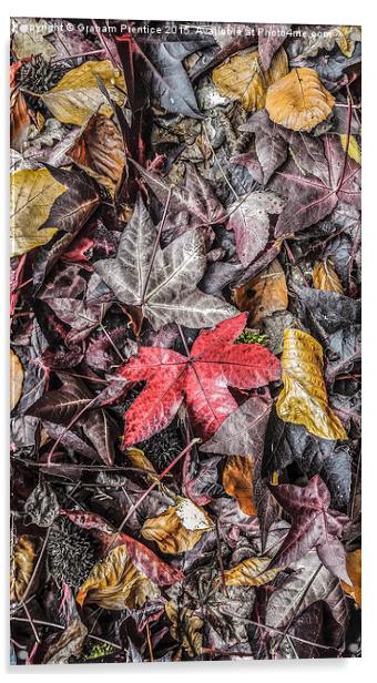  Autumn Leaves Acrylic by Graham Prentice