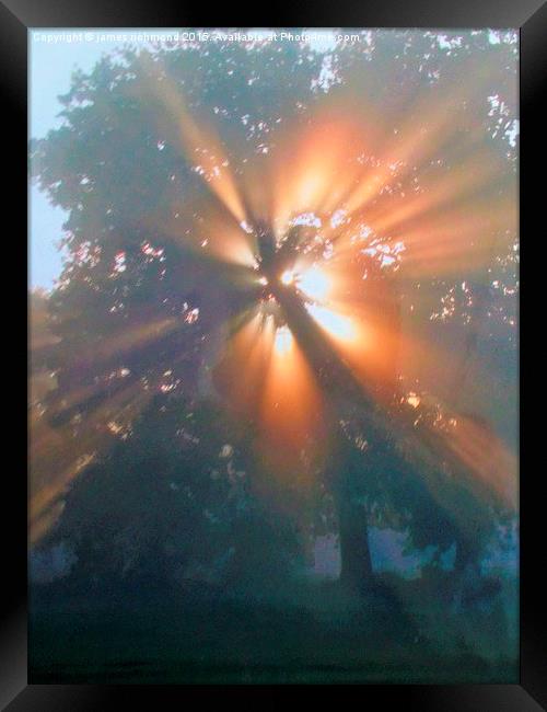  Morning  Sunburst Framed Print by james richmond