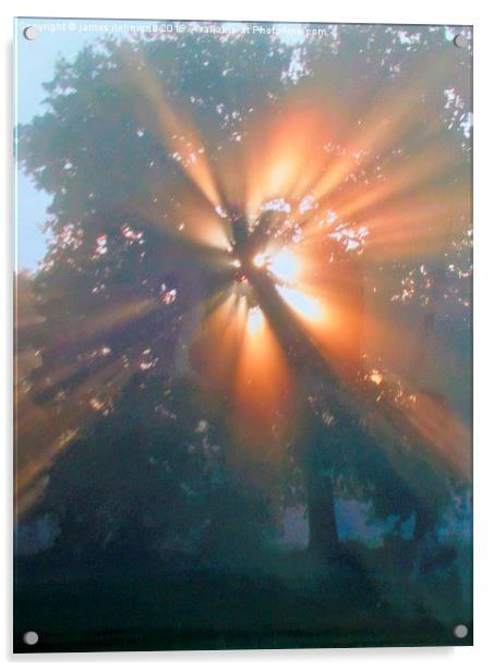  Morning  Sunburst Acrylic by james richmond