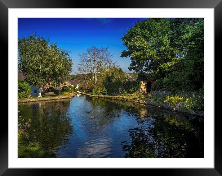 St Dogmaels Pond, Pembrokeshire, Wales, UK Framed Mounted Print by Mark Llewellyn