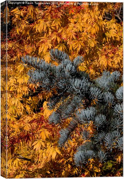  Autumn Gold Canvas Print by Kevin Tappenden