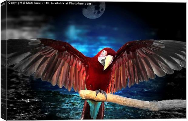  Macaw by moon light Canvas Print by Mark Cake