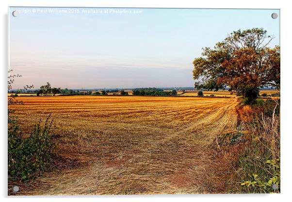  Harvested Fields at Dusk Acrylic by Paul Williams