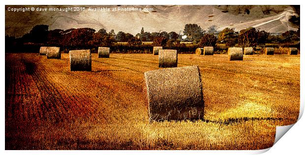  Glowing Hay Rolls Print by dave mcnaught