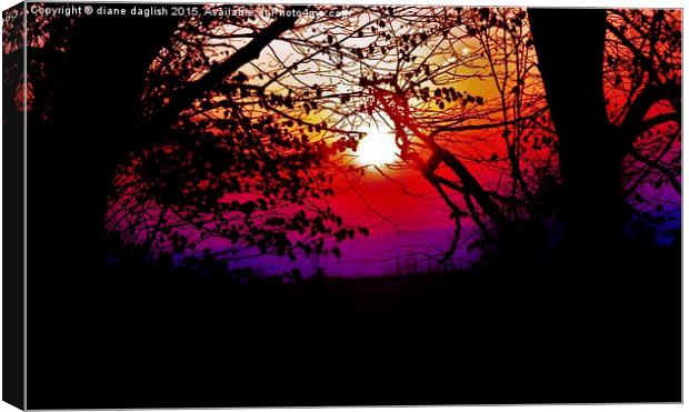 sunset boulevard  Canvas Print by diane daglish