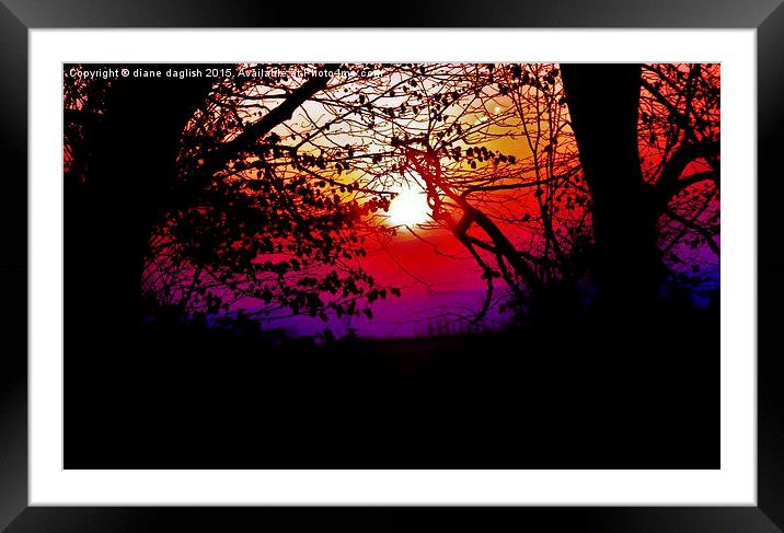 sunset boulevard  Framed Mounted Print by diane daglish