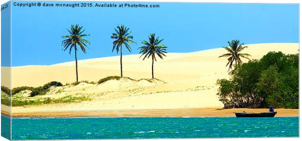  Golden Sands Brazil Canvas Print by dave mcnaught