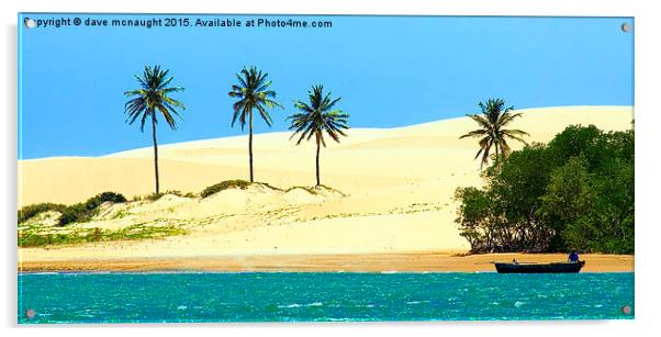  Golden Sands Brazil Acrylic by dave mcnaught