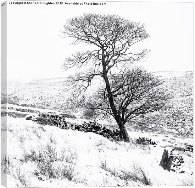  Bronte tree in the snow Canvas Print by Michael Houghton