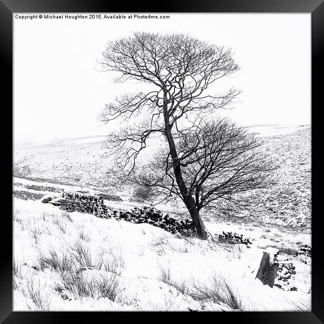  Bronte tree in the snow Framed Print by Michael Houghton