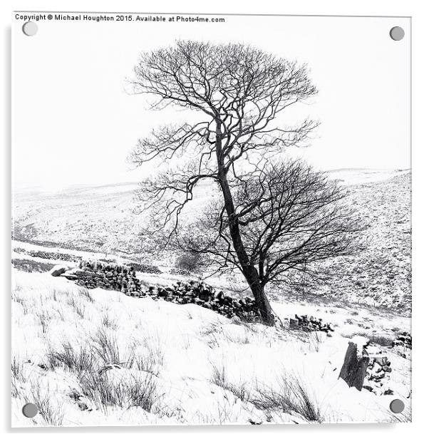  Bronte tree in the snow Acrylic by Michael Houghton