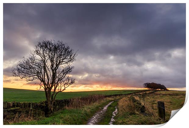 Country lane  Print by chris smith