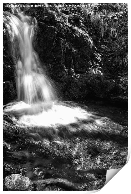 Aira Force Waterfall  Print by Gilbert Hurree