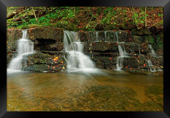  SIDE BY SIDE Framed Print by andrew saxton