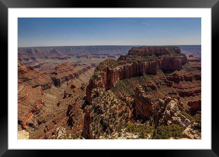 North Rim @ Cape Royal Framed Mounted Print by Thomas Schaeffer