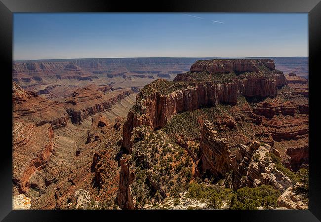 North Rim @ Cape Royal Framed Print by Thomas Schaeffer