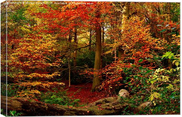  Colours of Autumn Canvas Print by Martyn Arnold