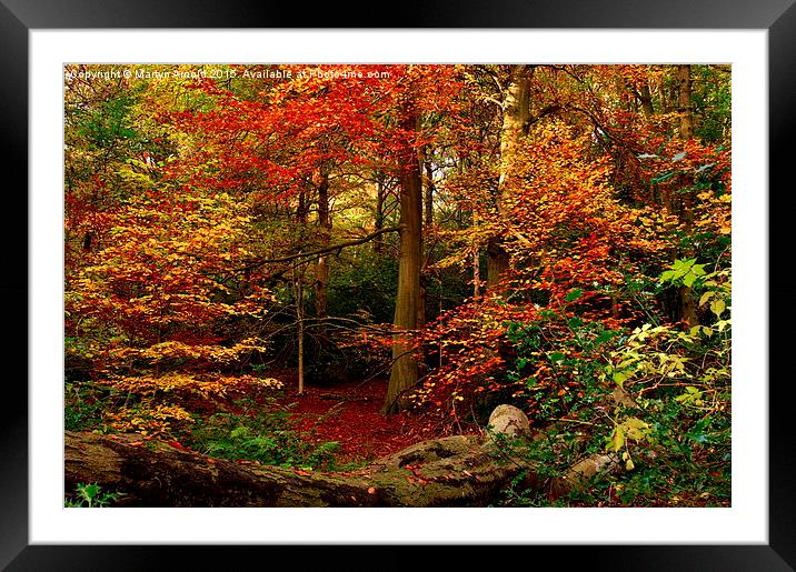  Colours of Autumn Framed Mounted Print by Martyn Arnold