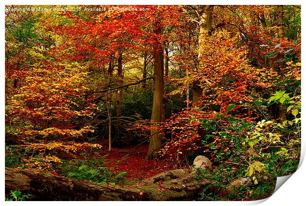  Colours of Autumn Print by Martyn Arnold