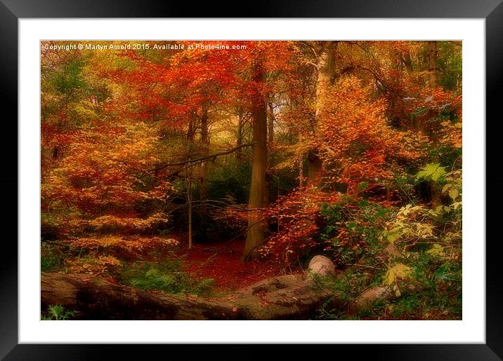  Dreamy Autumn Woodland Colours Framed Mounted Print by Martyn Arnold
