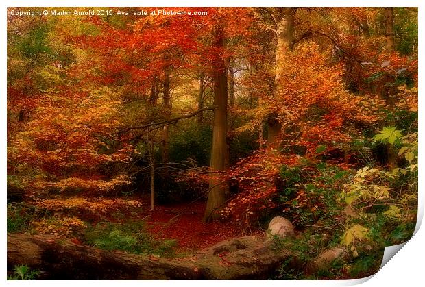  Dreamy Autumn Woodland Colours Print by Martyn Arnold