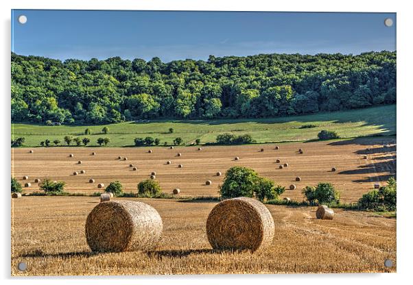 After the Harvest Acrylic by Malcolm McHugh