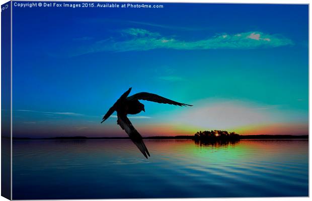  sunset flyer Canvas Print by Derrick Fox Lomax