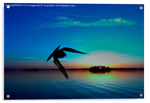  sunset flyer Acrylic by Derrick Fox Lomax
