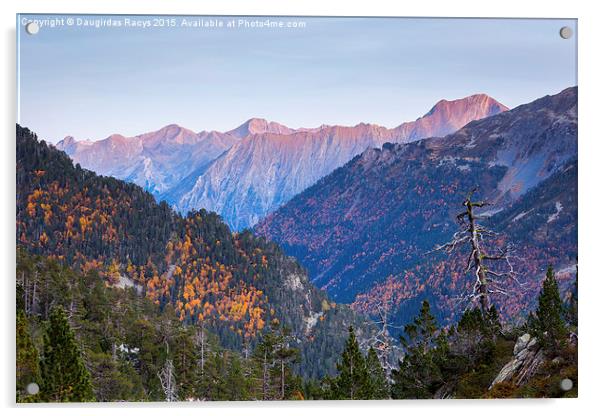 Pyrenees mountain evening glow Acrylic by Daugirdas Racys