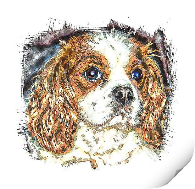  cavalier king charles spaniel Print by dave mcnaught