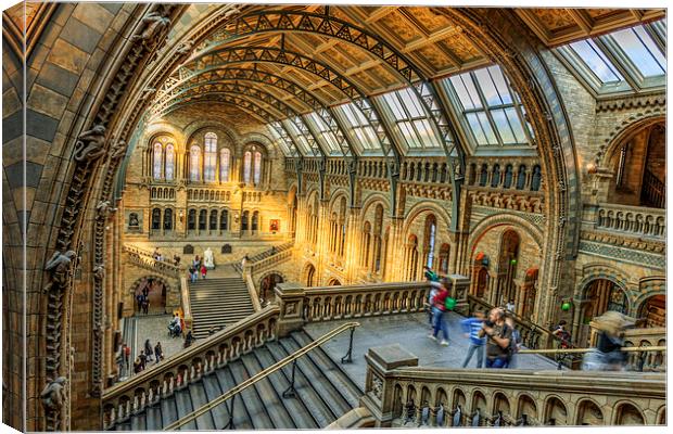 Natural History Museum  Canvas Print by chris smith
