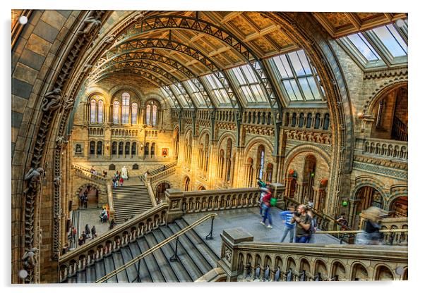 Natural History Museum  Acrylic by chris smith