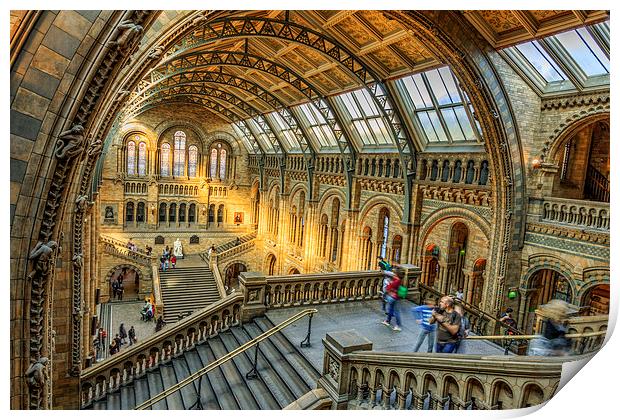 Natural History Museum  Print by chris smith