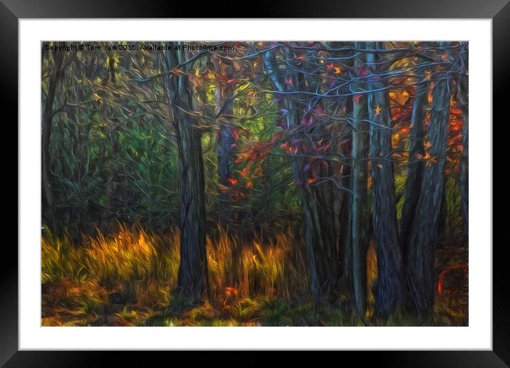 Colors Of November Framed Mounted Print by Tom York